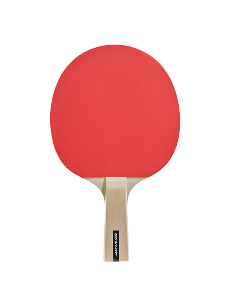 Dunlop Table Tennis 2 Player Match Set