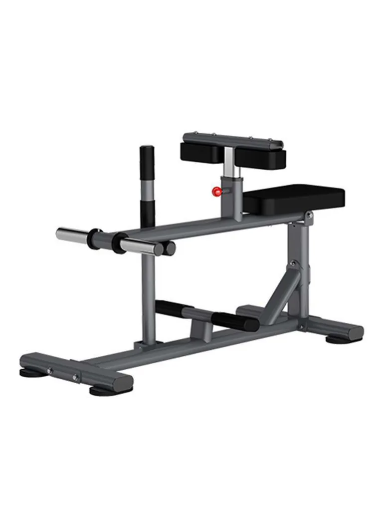 Insight Fitness Seated Calf Raise