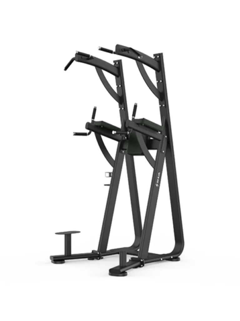 SHUA Chin Dip Leg Raise Station