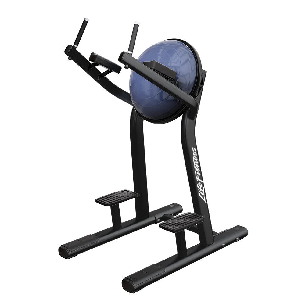 Life Fitness Signature Leg Raise Platinum