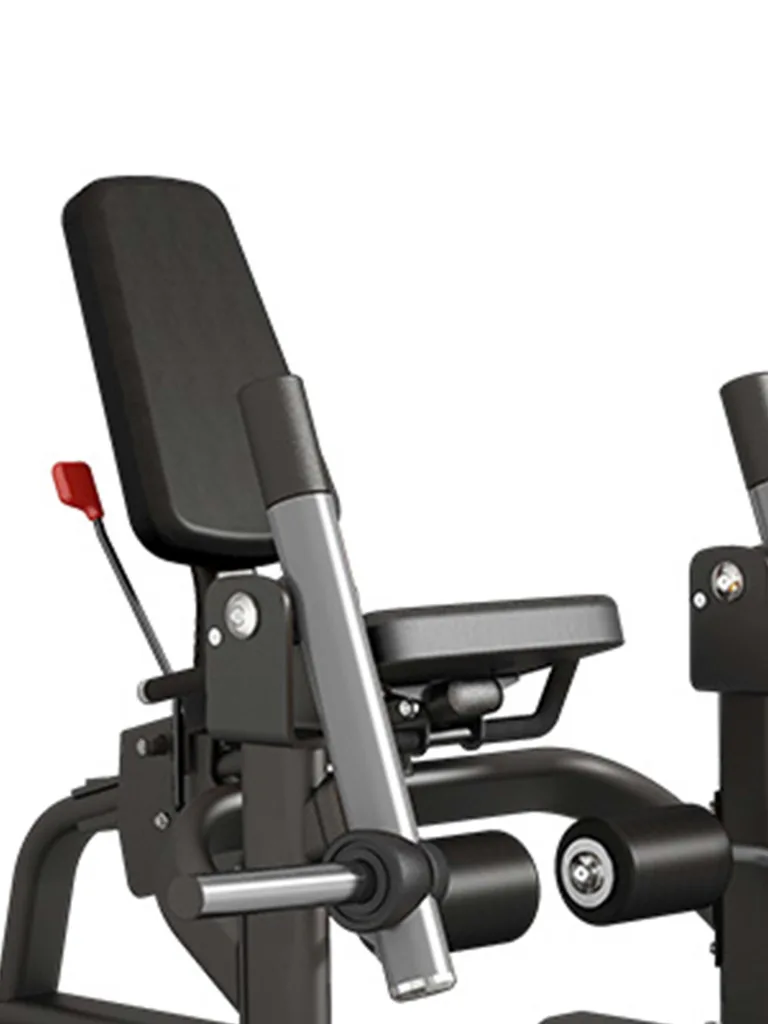 Insight Fitness Leg Extension