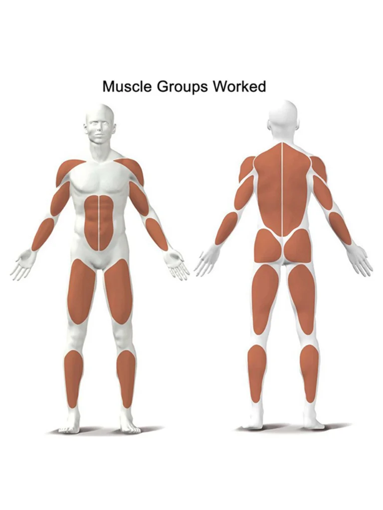 Kettler AXOS Line Rower