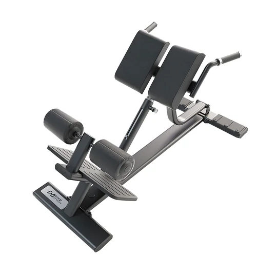 Dhz Fitness Back Extension Bench