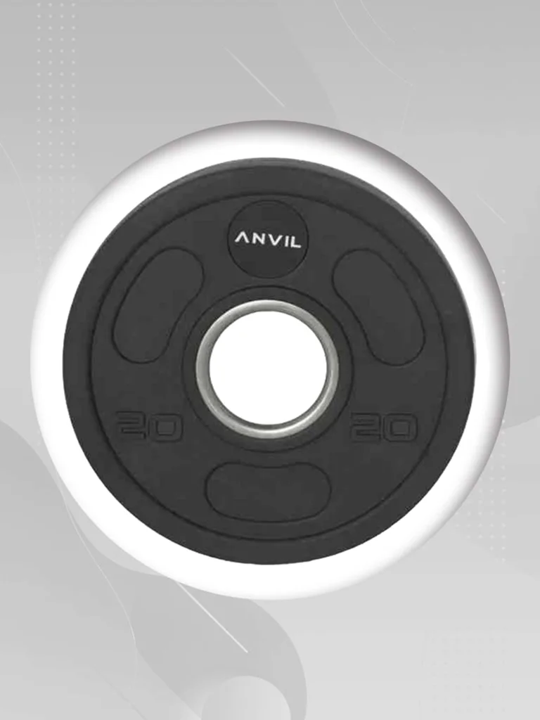 Gympro Foldable Wall Squat Rack + Utility Bench + Olympic Disc with Barbell