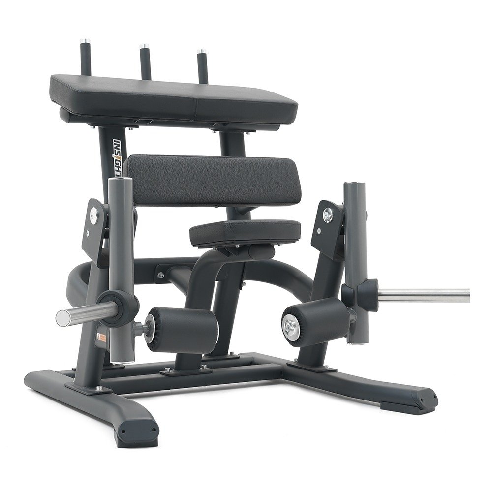 Insight Fitness Standing Leg Curl