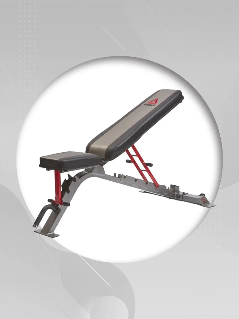 Gympro Foldable Wall Squat Rack + Utility Bench + Olympic Disc with Barbell