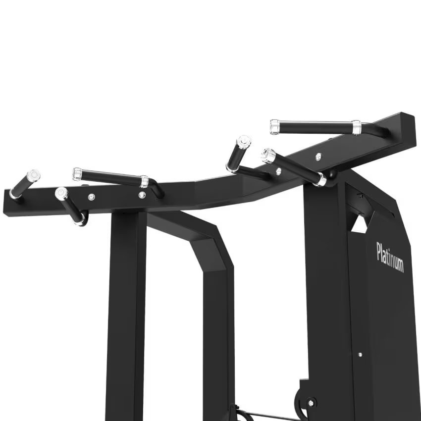 Tunturi Platinum Dual Assisted Chin Up/Dip - V-series
